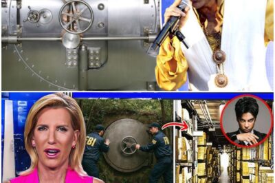 After 9 Years, They FINALLY Opened Prince’s Secret Vault… What They Found Will SHOCK YOU