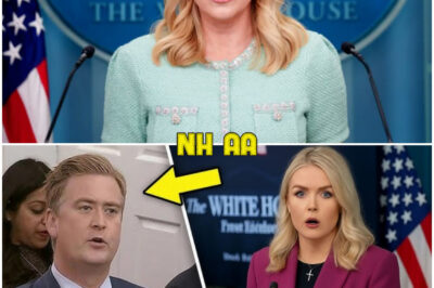 Epic On-Air Battle Erupts as Fox Host Relentlessly Corners White House Press Secretary Over Epstein Scandal—Watch the Press Sec Struggle, Deflect, and Ultimately Crack Under Pressure in a Televised Showdown That Leaves Viewers Stunned and the Administration Scrambling for Cover!
