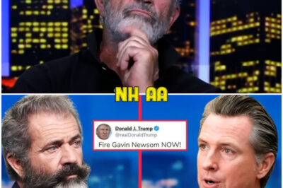 The Scandal California Tried to Hide: In a Jaw-Dropping Live TV Showdown, Mel Gibson Exposes the Darkest Secrets Behind Gavin Newsom’s Woke Policies—What He Reveals About the State’s Collapse Will Leave Every American Stunned and Demanding Answers