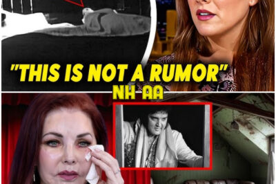 For the First Time in 48 Years, Elvis Presley’s Long-Sealed Attic Was Finally Opened—What Investigators Found Inside After Decades of Secrecy Is So Mysterious and Shocking That Even Experts Are Struggling to Explain the Truth Behind This Hidden Chapter of the King’s Life