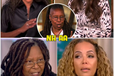Unbelievable Tension: Whoopi and Sunny Engage in a Fiery Clash with Co-Hosts on The View—Tempers Flare and Shocking Accusations Fly!