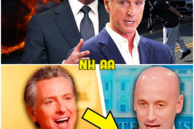 The Audience Was Shocked: Miller Lost Control, Screamed in Despair as Newsom Did Not Hesitate to Make Fun of His Wife’s Scandal in Front of Millions – What Made a Cold-Hearted Politician Fall Like That? The Truth Behind This Fall Will Make You Not Believe Your Eye