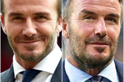 David and Brooklyn Beckham look identical with their rugged beards as the footballer attends BOSS show in Milan after his estranged son was humiliated at Ryder Cup match in NYC