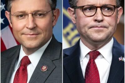 Mike Johnson makes the embarrassing mistake of asking for a fact check