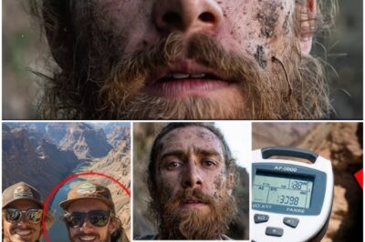 Two Tourists Vanished in Grand Canyon — 5 Years Later One Returned and REVEALED a TERRIBLE SECRET