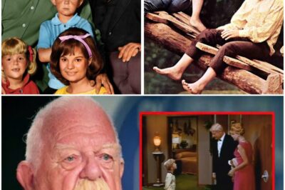 🔥 Why Johnny Whitaker Still Refuses to Watch This One Family Affair Episode He Filmed in 1966 🔥