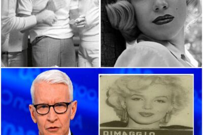 Marilyn Monroe’s Death Mystery Shattered – Frank Sinatra’s Confession After 60 Years Changes Everything