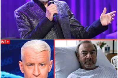 Neil Diamond Is Saying Goodbye After Tragic Diagnosis