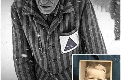 What Happened to Jehovah’s Witnesses in Auschwitz? The “Purple Triangle” Prisoners