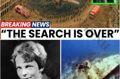 After 88 Years, Amelia Earhart’s Plane Was FINALLY Found!