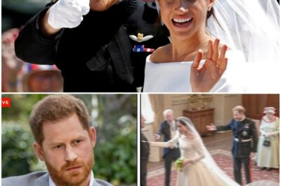 Meghan’s TRUE Motive for Marrying Prince Harry EXPOSED — and its DEVASTATING