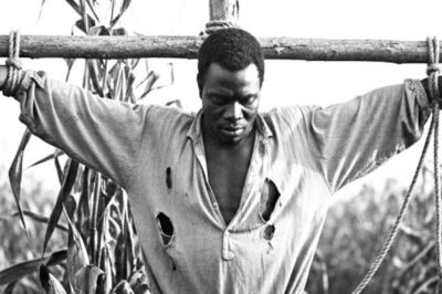 The master tied a giant slave up as a scarecrow – 4 days later he disappeared and shocked everyone