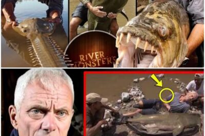 At 69, Jeremy Wade FINALLY Reveals Why River Monsters Was Canceled — And It’s Shocking