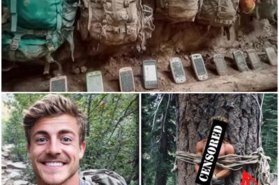 Tourist Vanished On Appalachian Trail – 1 Year Later Found TIED To TREE, Repeating ONE PHRASE.