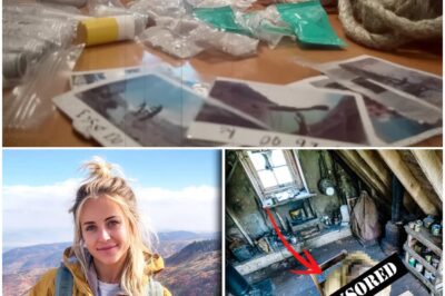 Woman Vanished in Colorado Mountains – 7 Years Later Found in CABIN, TABLE SET FOR TWO