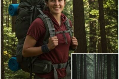 The Hiker Vanished— But a Park Ranger Was Watching Everything From The Ridge