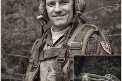Fighter Pilot Vanished in 1943 — 60 Years Later, His Rusted Plane Was Found in a Forest…