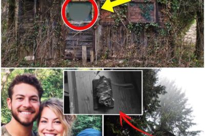 Couple Vanished In Oregon – 6 Years Later THIS Was Found Inside An Abandoned Tree Cabin.