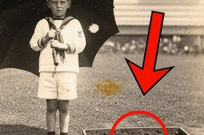 This 1910 Photo of a Boy Holding an Umbrella Looked Sweet—Until the Zoom Revealed Something Shocking