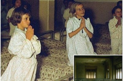 Entire Orphanage Vanished in 1982 — 30 Years Later, a Hidden Room Shocked Investigators…