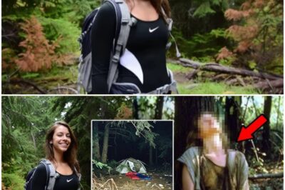 Tourist vanished while camping — 5 years later she RETURNED and revealed HORRIFYING DETAILS...