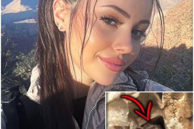 Grand Canyon Woman Vanished — 2 Years Later Found In A Cave, Looking Insane