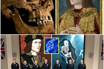 King Richard III DNA Reveal Was So Shocking They Tried To Hide It, Now In 2025 The Truth Comes Out