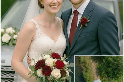 The Couple Went Missing Right After Their Wedding 14 Years Later, A Satellite Image Uncovered This