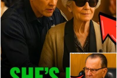 Blind 86-Year-Old Owes $14,200 in Tickets… Until Judge Caprio Asks One Question
