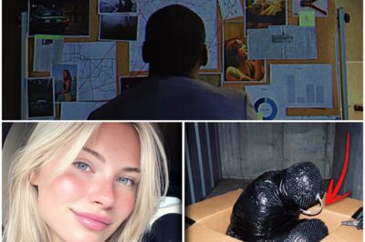 Model Vanished in LA — THIS Was Found Inside a U-Haul Box in a Storage Unit, WRAPPED IN BUBBLE WRAP