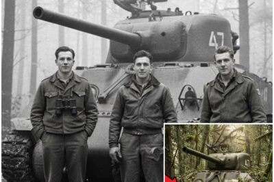 3 Tank Crewmen Vanished In 1944 — 65 Years Later, Their Vehicle Was Found Almost Intact.