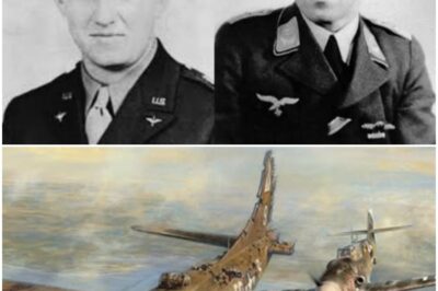 The American Pilot Searched 40 Years for the Enemy Who Saved Him — Then They Became Brothers