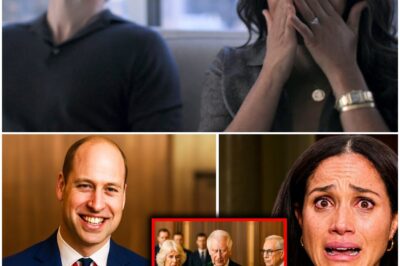 UK Parliament JUST Dropped a Bombshell Against Meghan’s New Business Empire