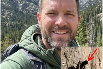 Climber Vanished in Colorado Mountains – 3 Months Later Drone Found Him Still Hanging on Cliff Edge