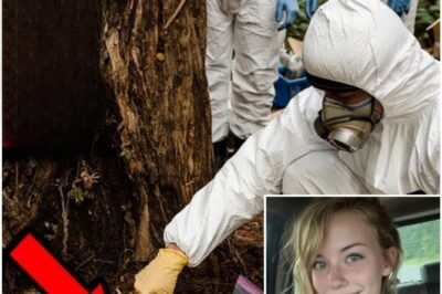 Hitchhiker vanished in Nevada in 1996 — 19 years later her DNA found in TATTOO INK.