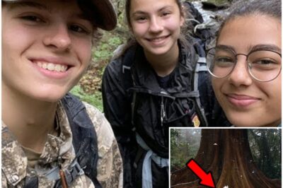 Teens vanished on hiking trip — 3 years later DISCOVERY in BAGS beneath a FALLEN TREE.