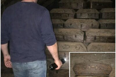 Man Found Child Coffins in Inherited Attic, Opened one and Began to Cry!