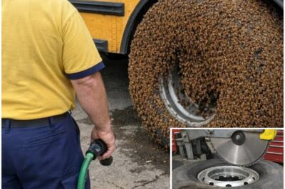 Bus Driver Noticed Bees Swarming Tire, What They Found Inside Was Unexpected!