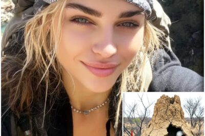 Hiker Vanished in Arizona — 7 Years Later Found As PART OF A GIANT TERMITE MOUND…