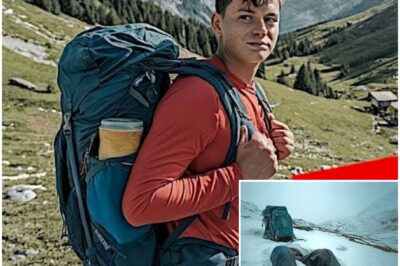 Teen Vanished in the Swiss Alps… 7 Years Later, Climbers Stumbled Upon a Chilling Discovery