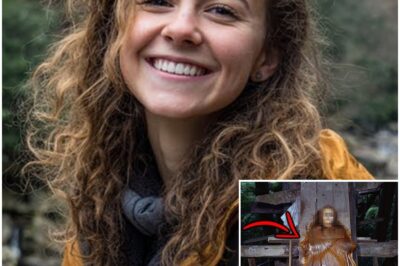 Hiker’s Body Discovered in Smoky Mountains — Preserved in Resin on a Mysterious Altar