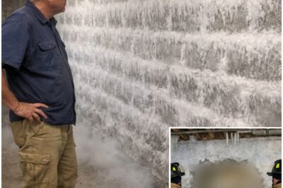 Ice Formed on Basement Wall Mid-Summer, Then They Saw the Shocking Cause…