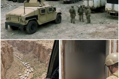 Military Spotted Truck Trailers Dumped in Canyon, Opened One and Turned Pale!