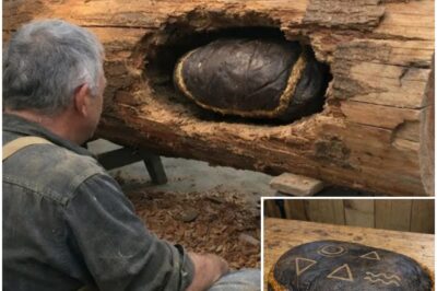 Wood Sculptor Found Leather Pouch in Log, Opened It and Began to Cry!