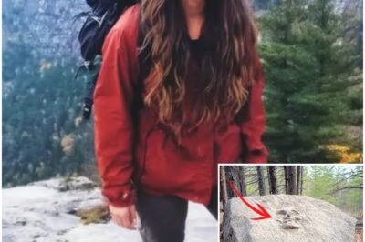 Hiker Missing in Maine – 8 Years Later Found Beneath a ROCK CARVED WITH a FACE…..