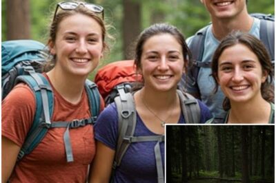 Four Hikers Vanished In Rockies, 7 Years Later Rangers Find a Booby Trap Deep in Forest.