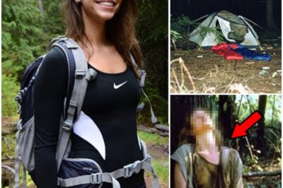 Tourist vanished while camping — 5 years later she RETURNED and revealed HORRIFYING DETAILS.