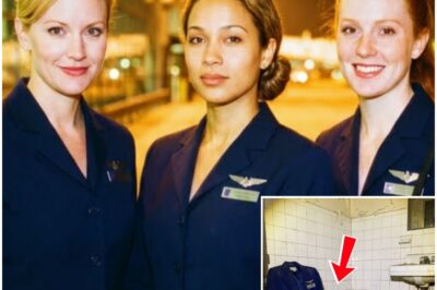 Three Flight Attendants Vanished From a Vegas Hotel in 1996 — 28 Years Later a Hidden Wall Is Opened