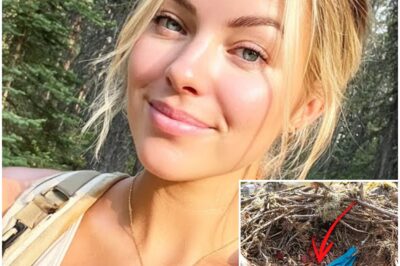 Girl Vanished on Mount Rainier – 9 Months Later THIS Was Found Inside Hawk’s Nest…