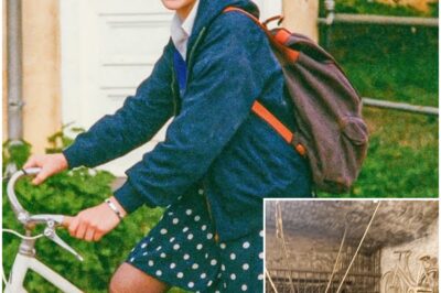 Student Vanished on Ride to School in 1988, 14 Years Later a Wine Cellar Reveals.